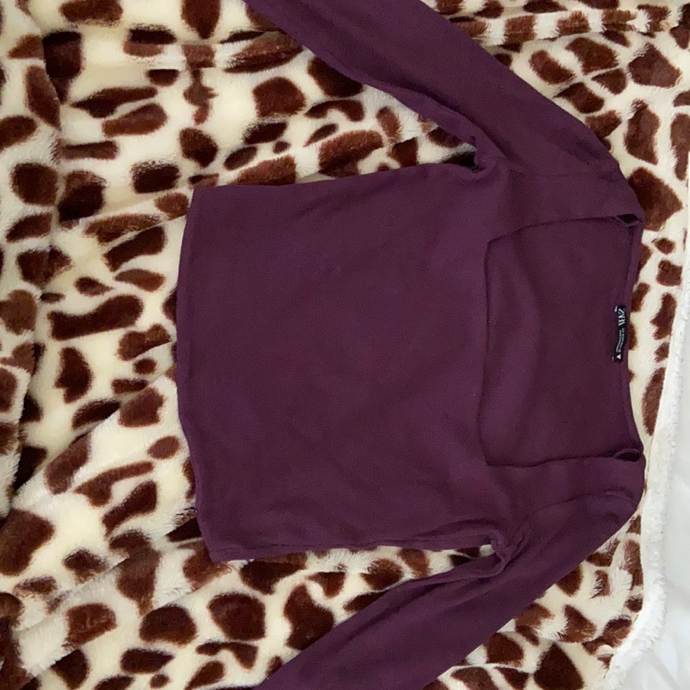 ZARA LONG SLEEVE CROP TOP